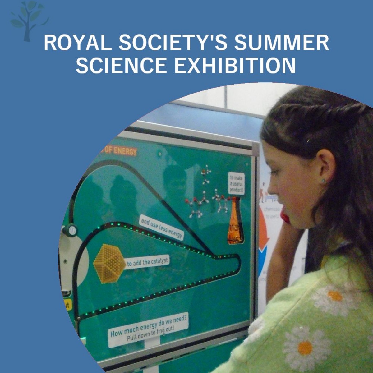 Limehurst Academy Royal Society's Summer Science Exhibition